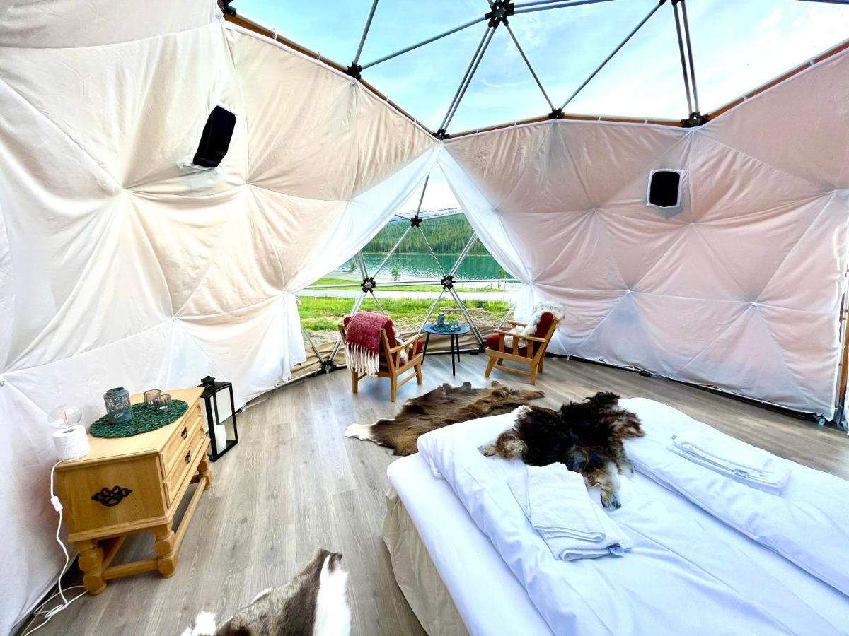 Reinheimen Lodge Шок Экстерьер фото