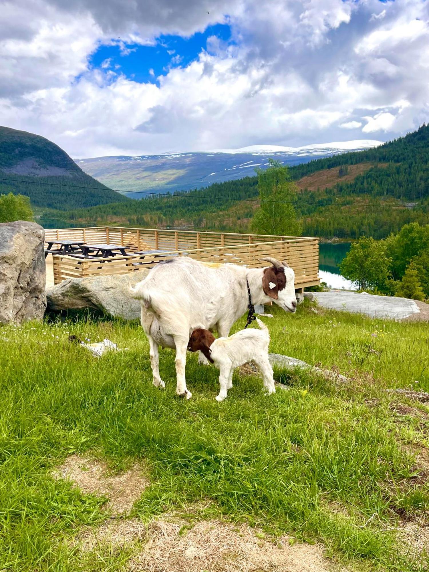 Reinheimen Lodge Шок Экстерьер фото
